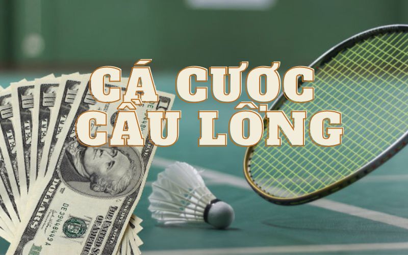 Giới thiệu cơ bản về cá cược cầu lông