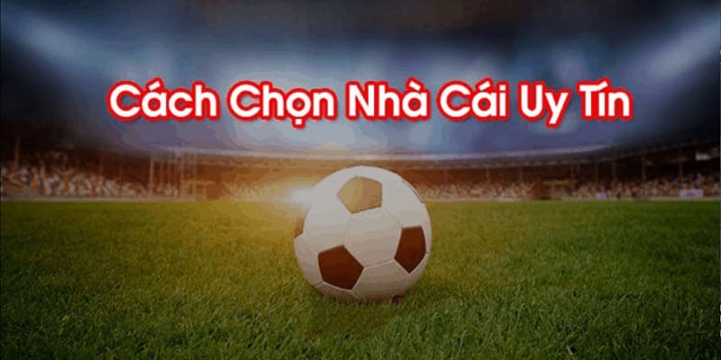 Nên chọn nhà cái uy tín nếu muốn chiến thắng 